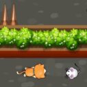 Cat Trap Labyrinth Escape 4 cat trap labyrinth escape 2