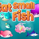 Eat Small Fish 4 eat small fish 1