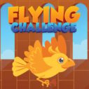 Flying Challenge 5 flying challenge 1