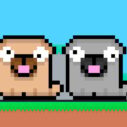 Friends Pug 2 friends pug 1