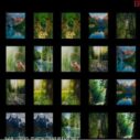 memorize nature 3 memorize nature