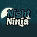 Night Ninja 7 night ninja 1