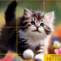 Puzzle Sliding Kittens 7 puzzle sliding kittens 1